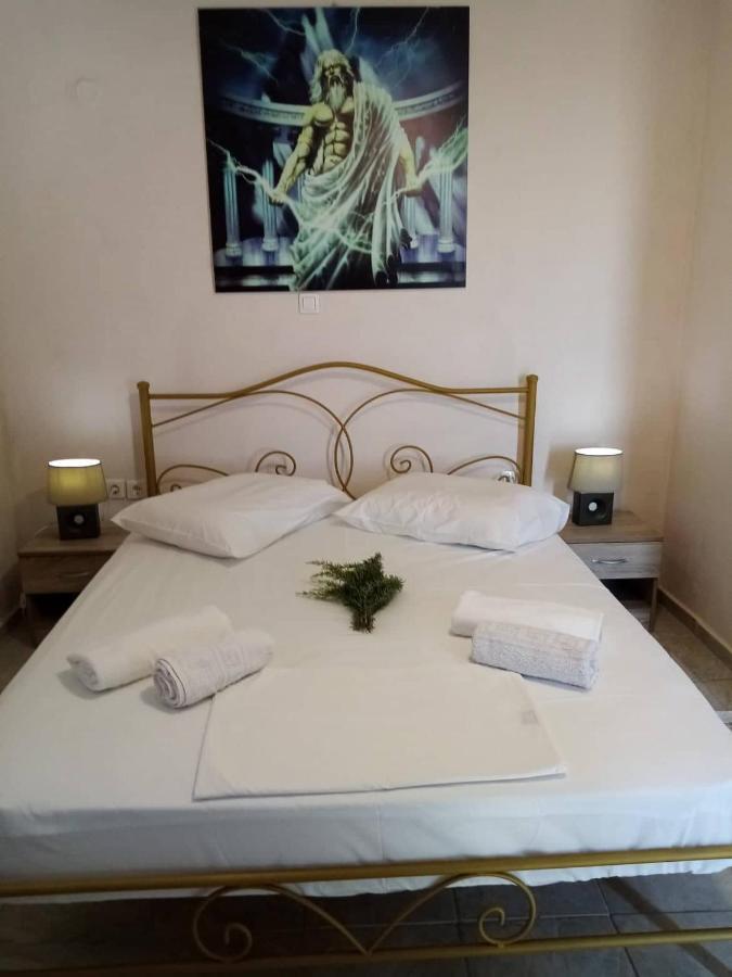 Villa Hellas Afiartis Zewnętrze zdjęcie
